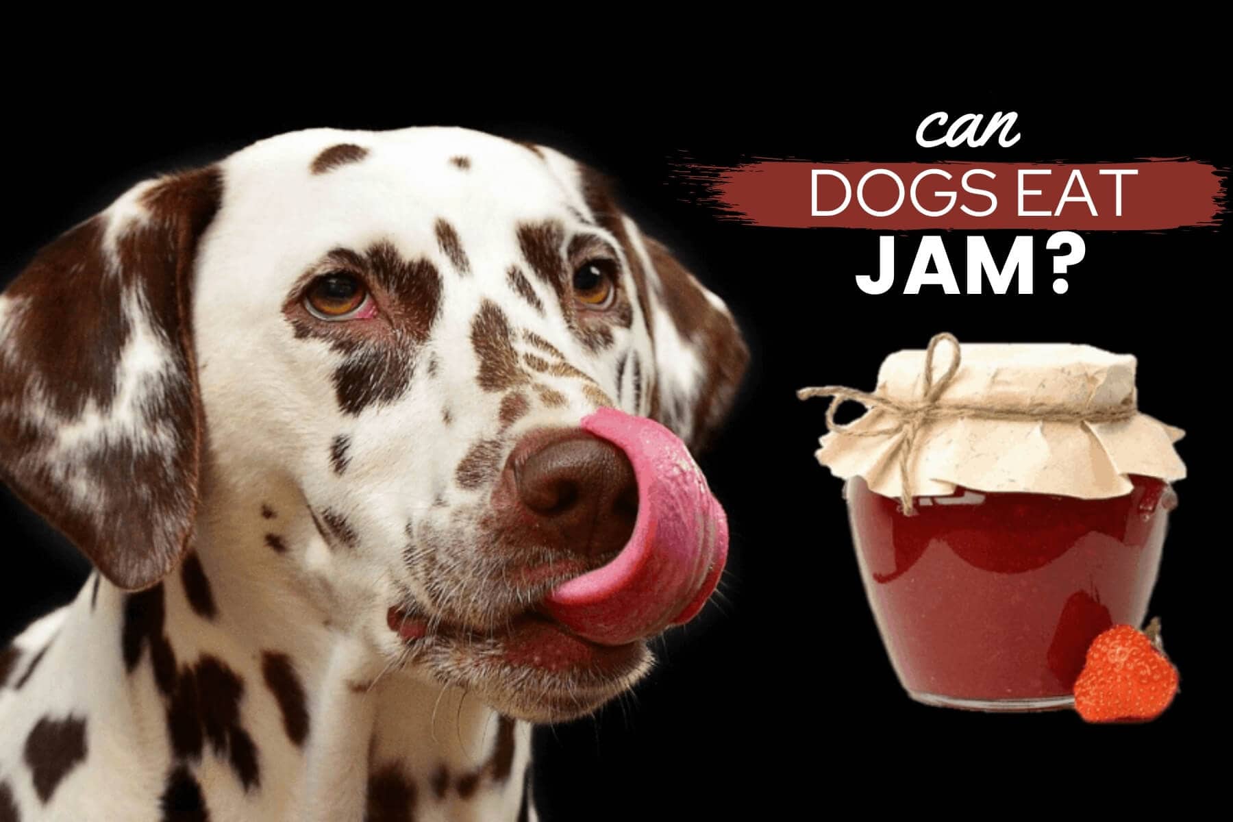 can dogs eat jam