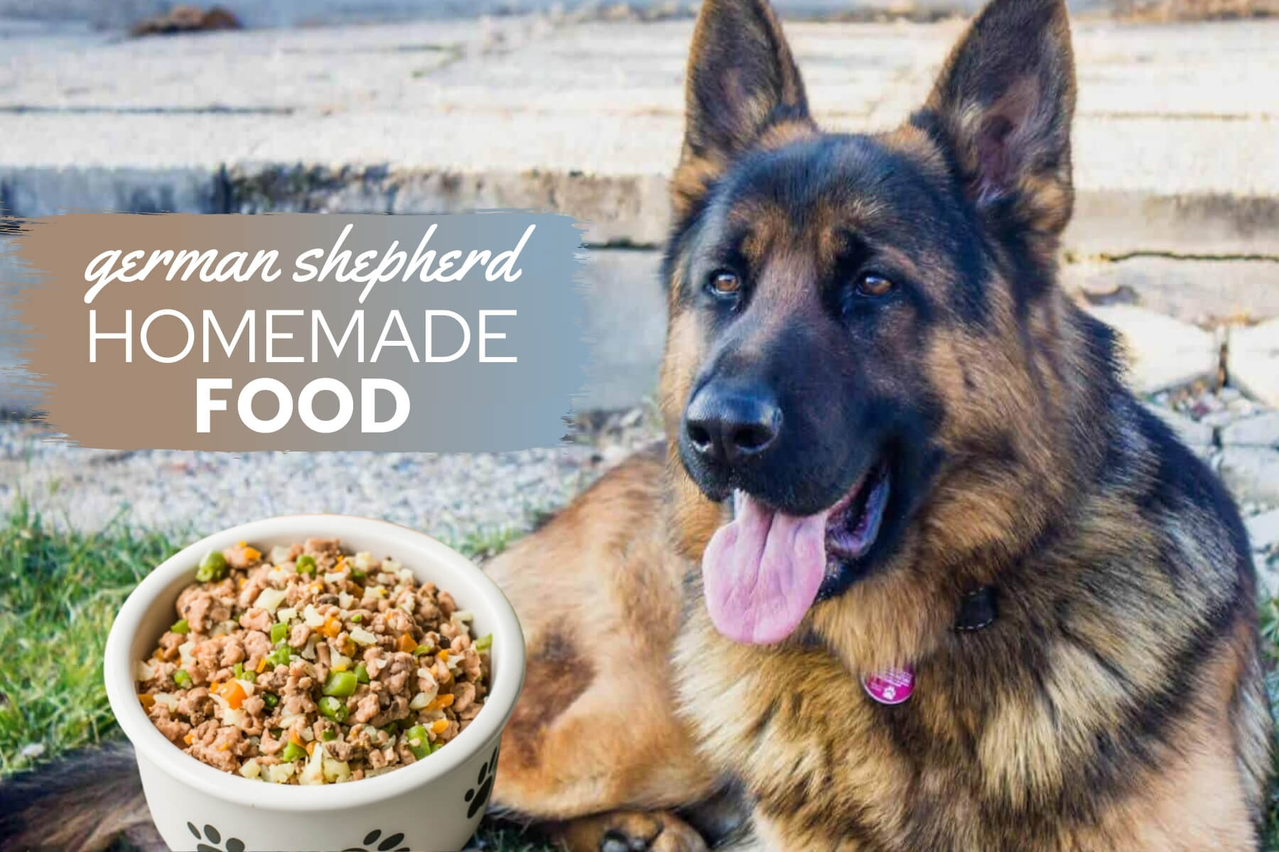 German Shepherd Homemade Food Guide & Recipes (Puppy & Adult) - Canine Bible