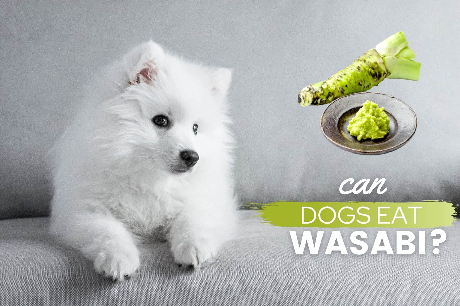 are english peas bad for dogs