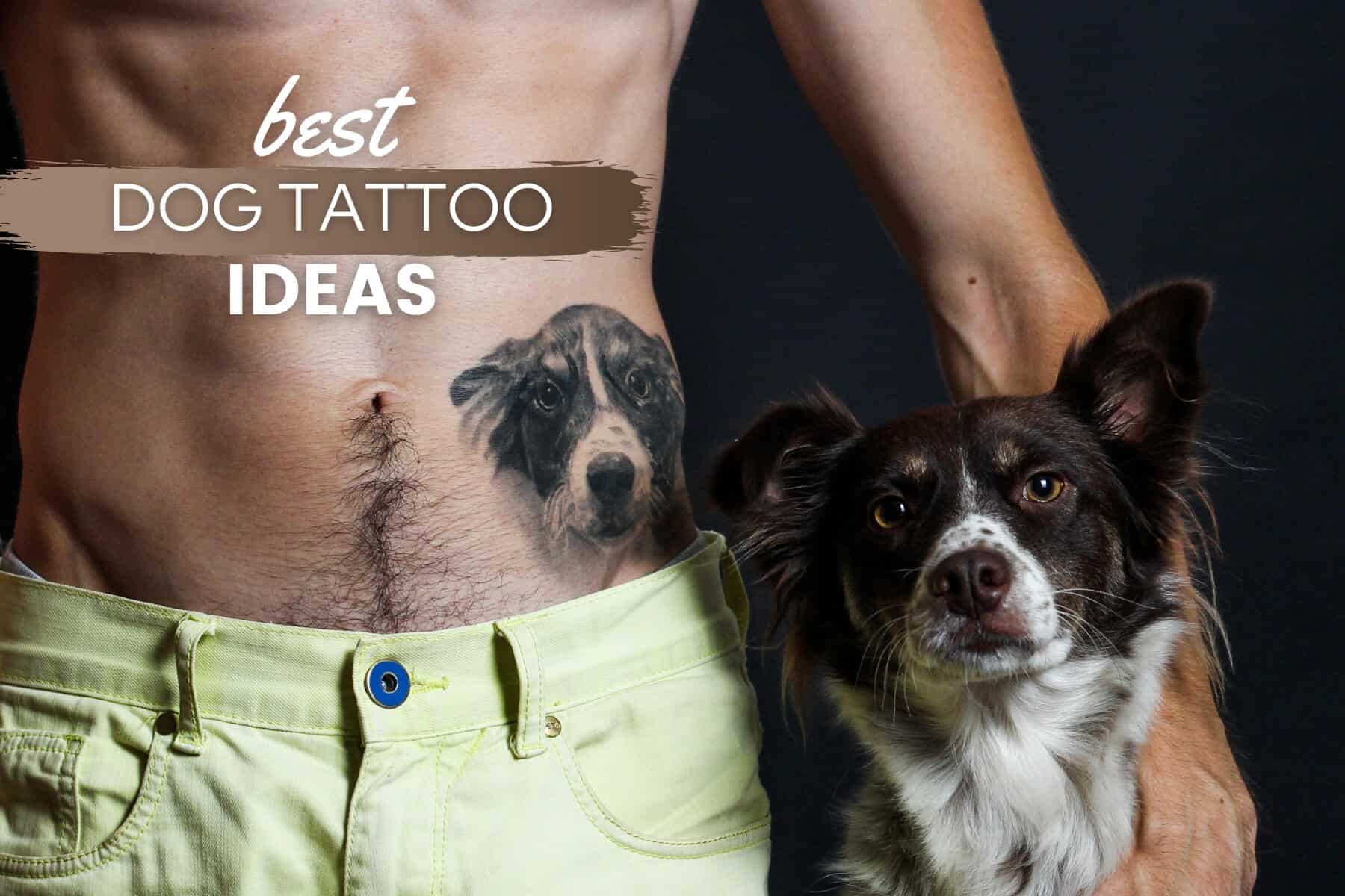 500 Best Dog Tattoo Ideas That Are Unique Incredible Memorial Outline Portrait More Canine Bible