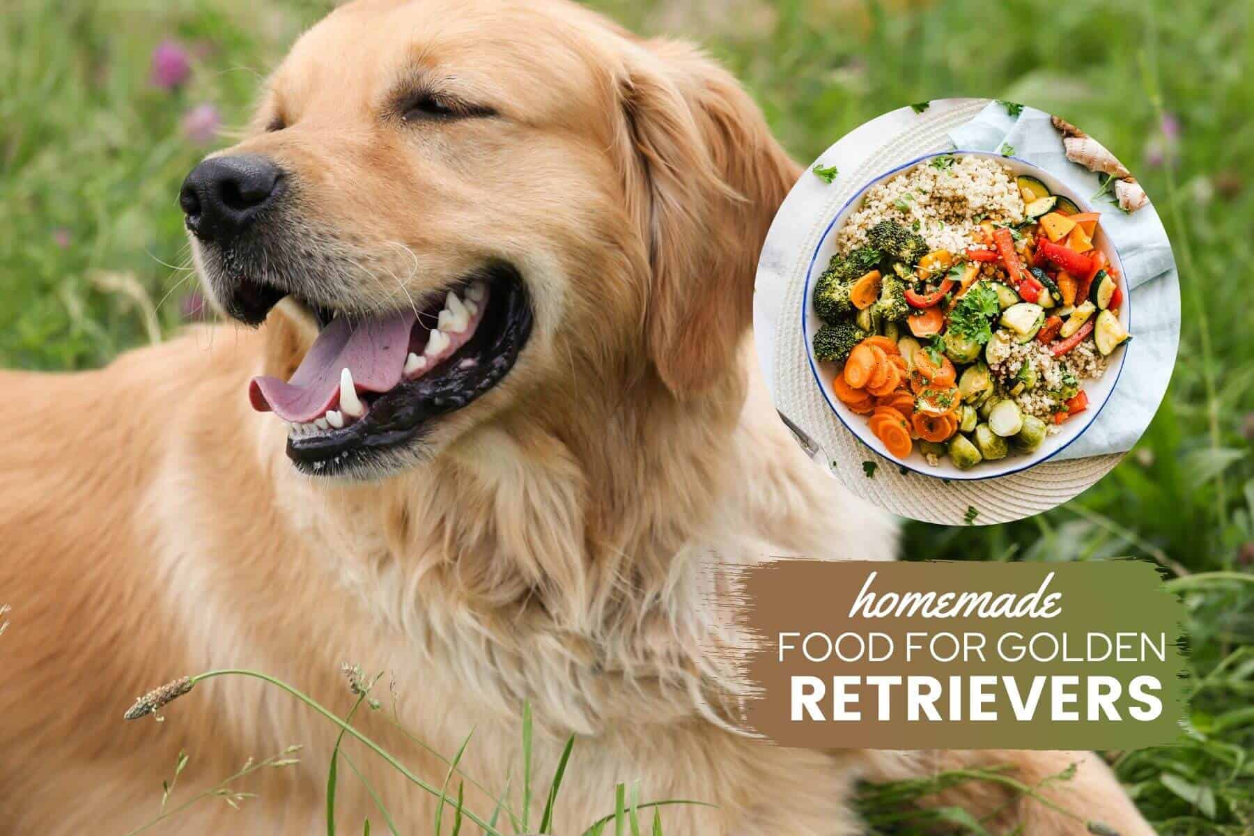 best dog food for retrievers