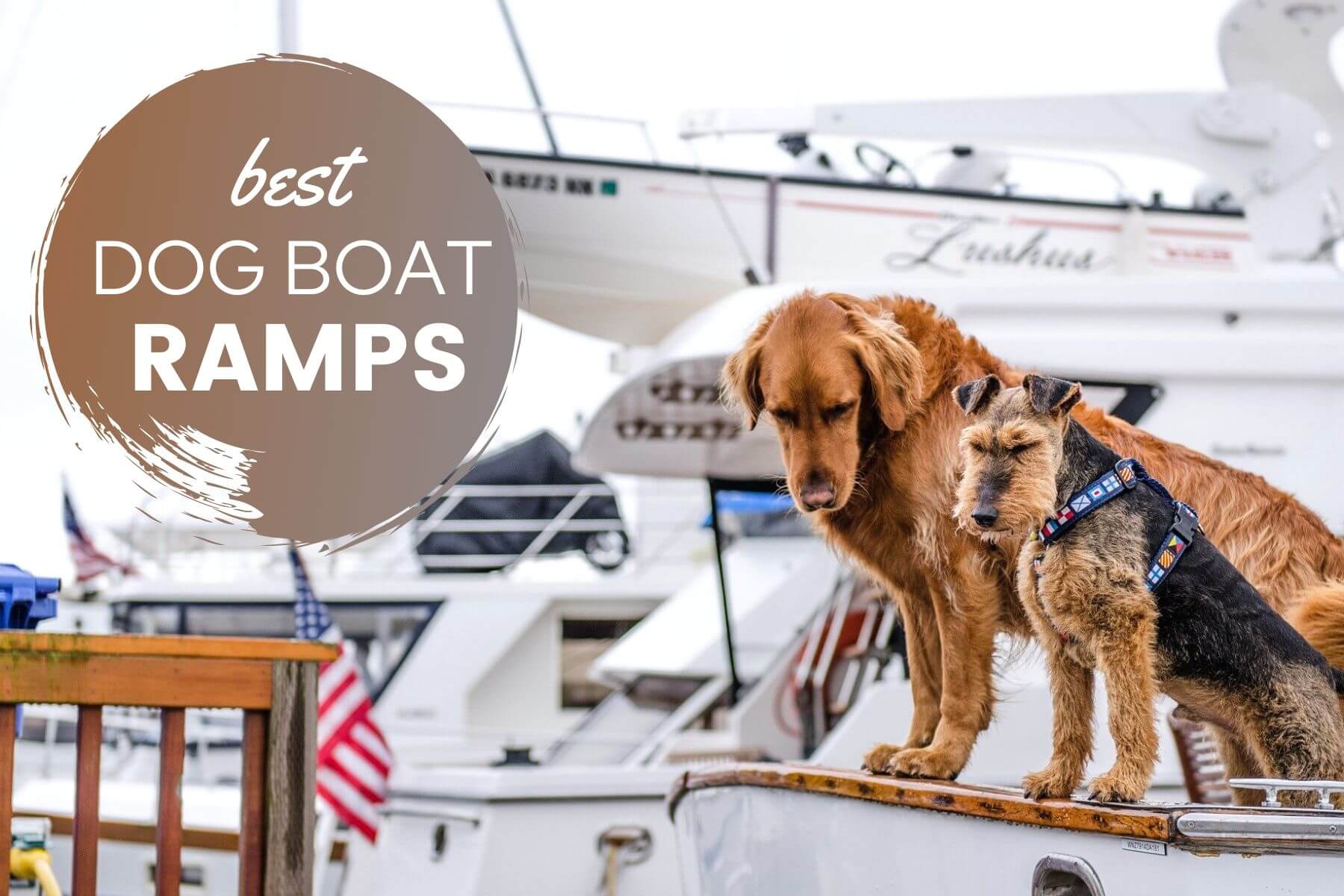 dog boat boarding ladder