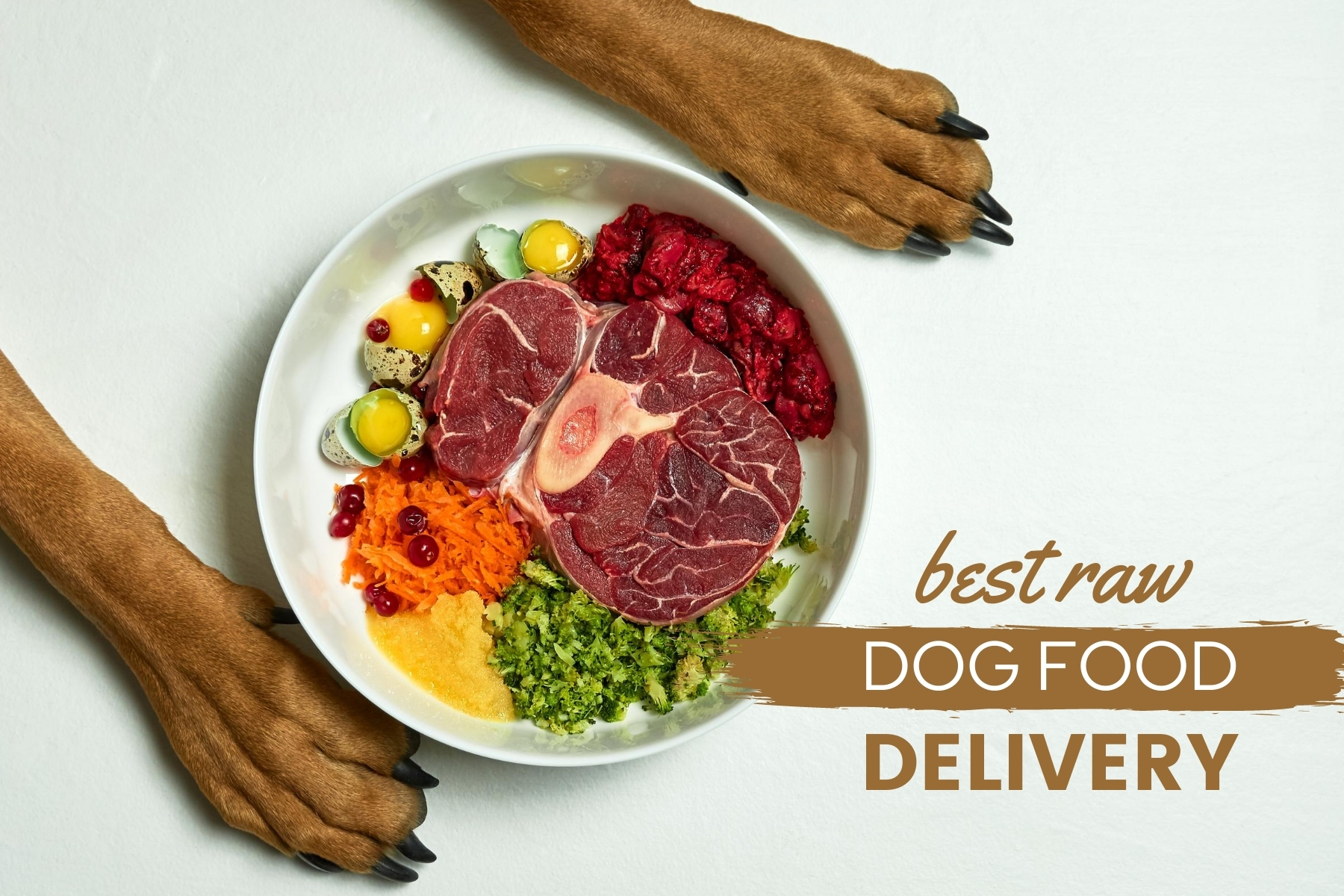 raw dog food subscription box