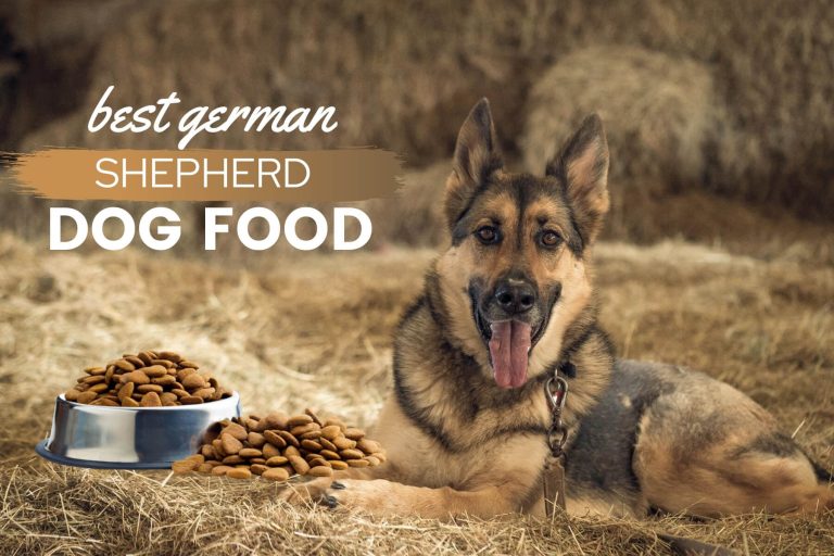 Best Dog Food For German Shepherds 2023: Adult, Puppy, Sensitive Stomach, Allergies & More [Reviews & Guide]