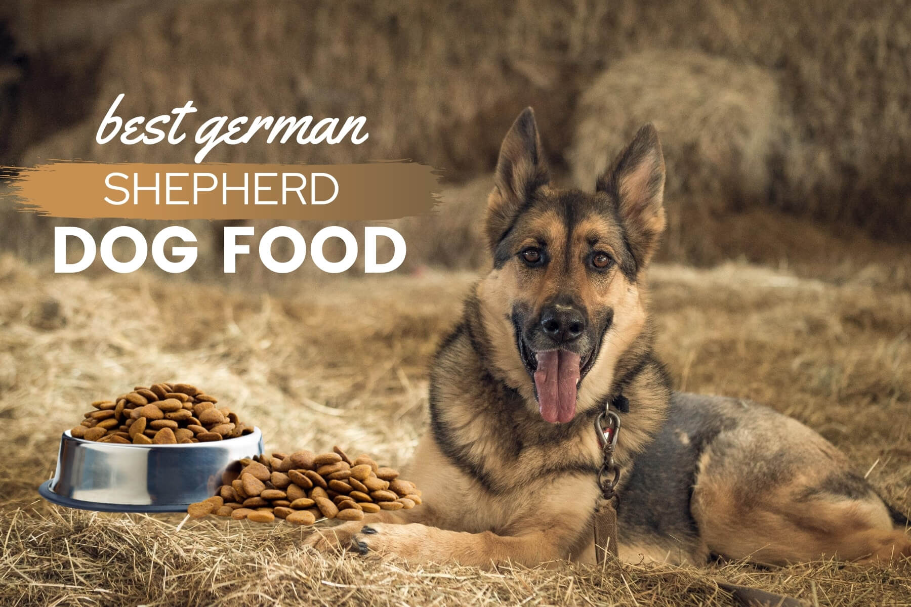 best food for german shepherd with allergies