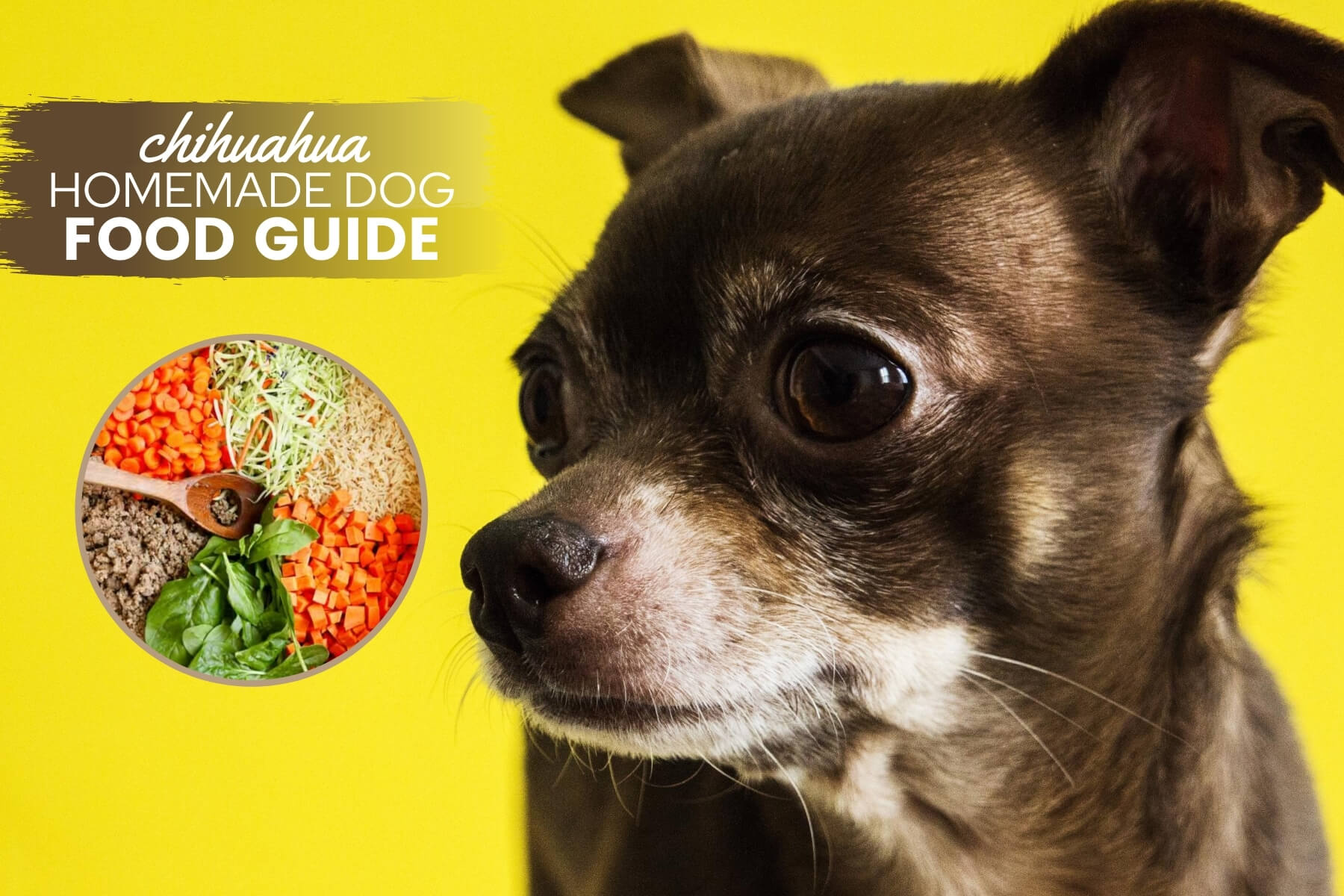 Homemade Dog Food For Chihuahuas Guide Recipes Nutrition Tips Canine Bible