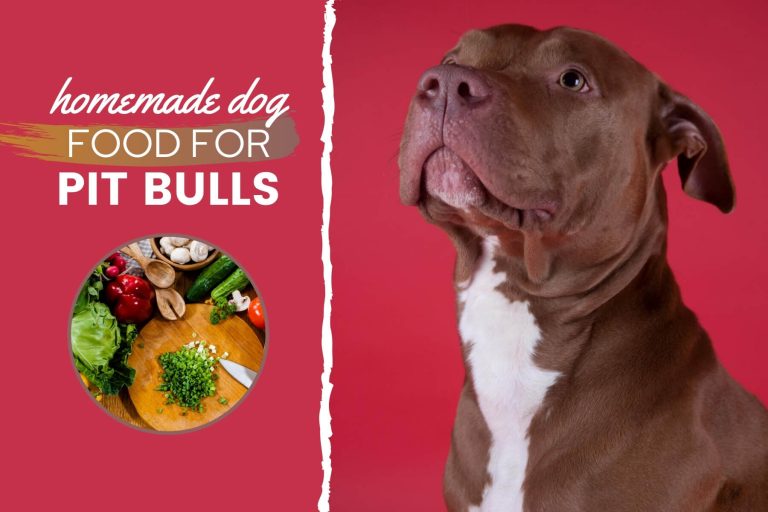 Homemade Dog Food For Pit Bulls Guide: Nutrition, Recipes & More
