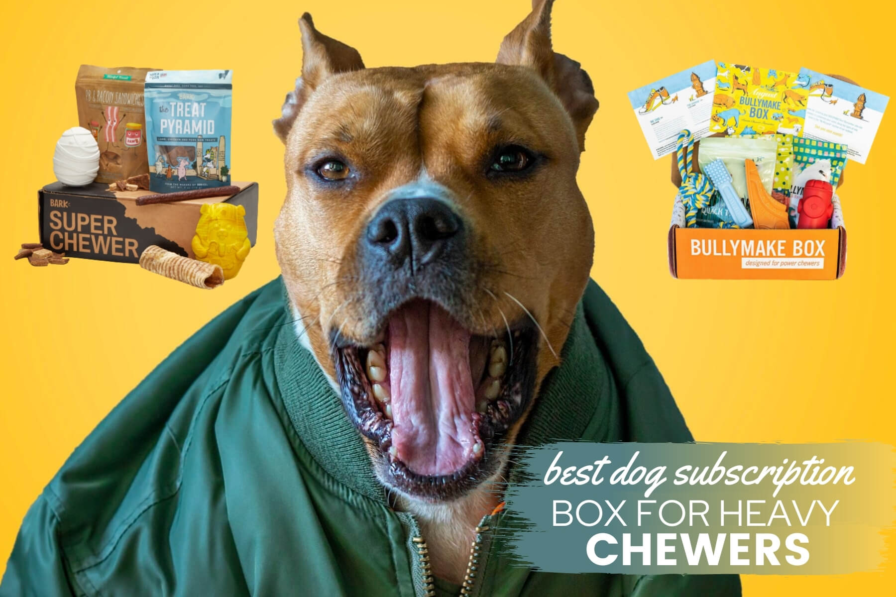 dog subscription box for chewers