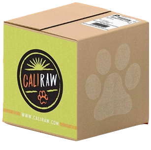 Best Raw Dog Food Delivery