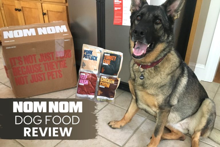 Nom Nom Dog Food Review 2022: Hand-On Test, Cost & Results