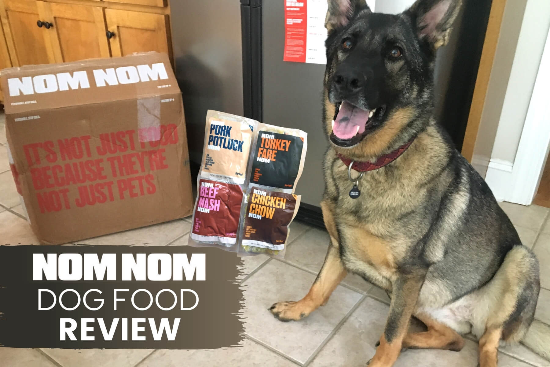 nom nom dog food review