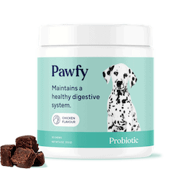 pawfy probiotics for dogs review