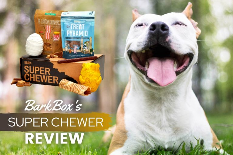 BarkBox Super Chewer Review 2022: Price, Unboxing, Pros, Cons & FAQs
