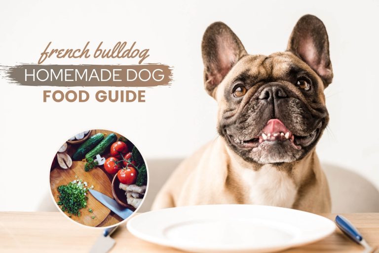 Homemade Dog Food For French Bulldogs Guide: Recipes, Nutrition & FAQs