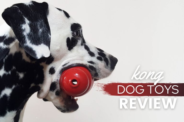 The 10 Best KONG Dog Toys 2023 – Reviews & Top Picks