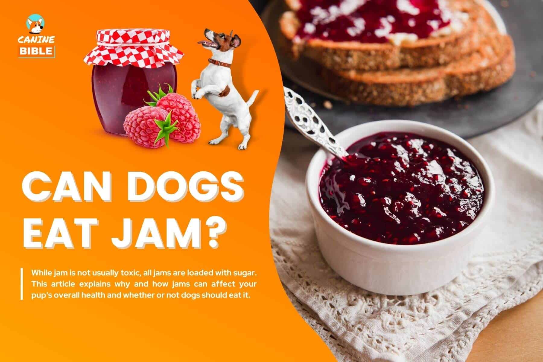 can dogs eat jam