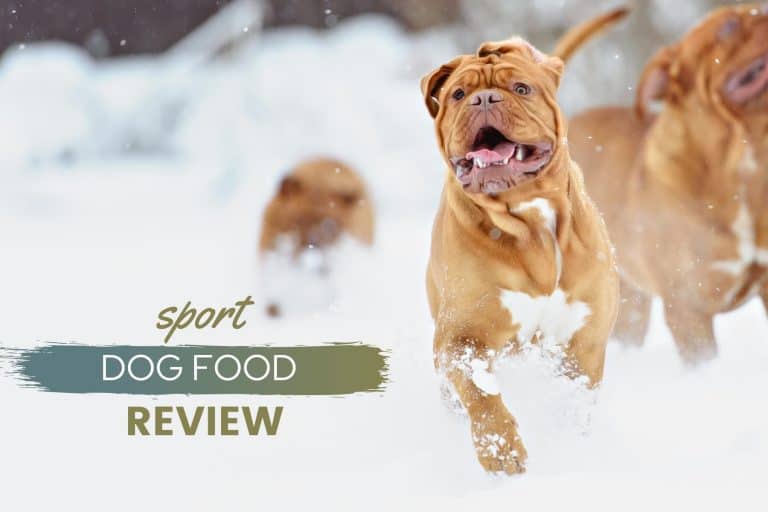 Sport Dog Food Review: Elite, Active, K9 & Cub Series