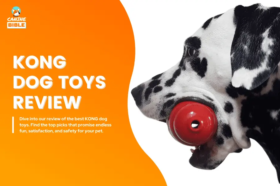 kong dog toys review