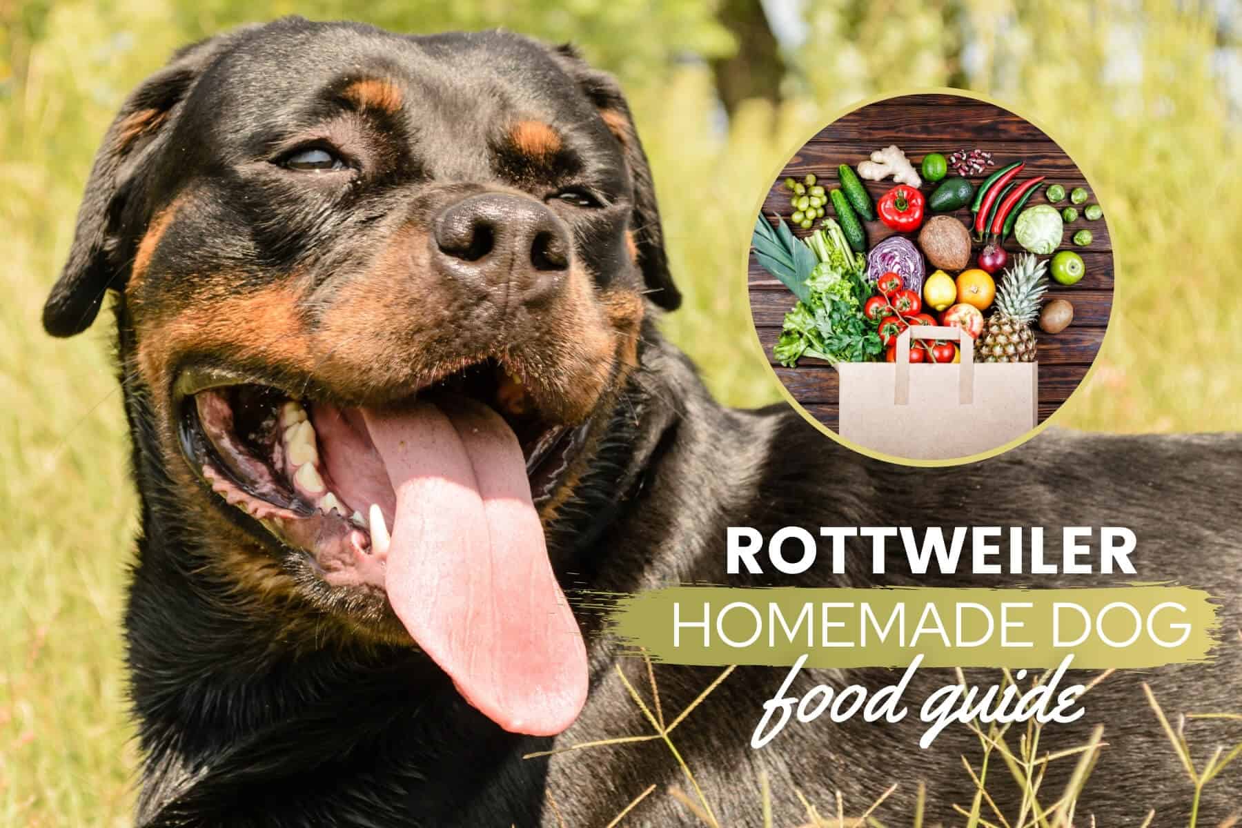 Rottweiler Homemade Dog Food Recipes, Nutrition & Tips