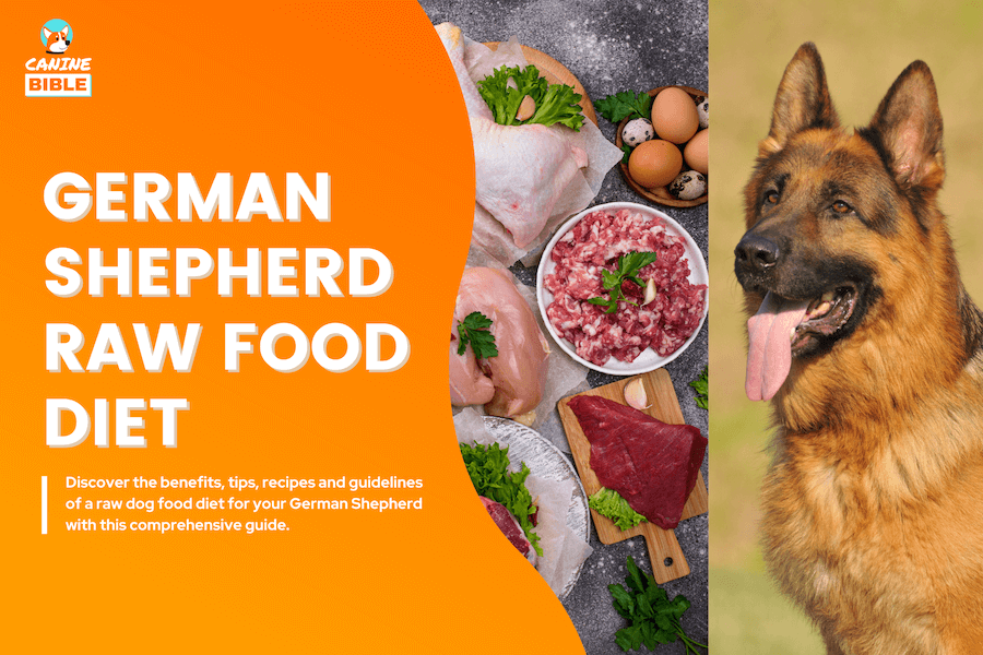 German Shepherd Raw Food Diet