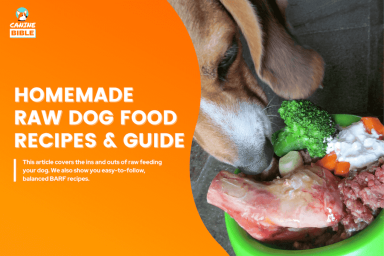 Homemade Raw Dog Food: Easy BARF Diet Recipes [Vet Approved]