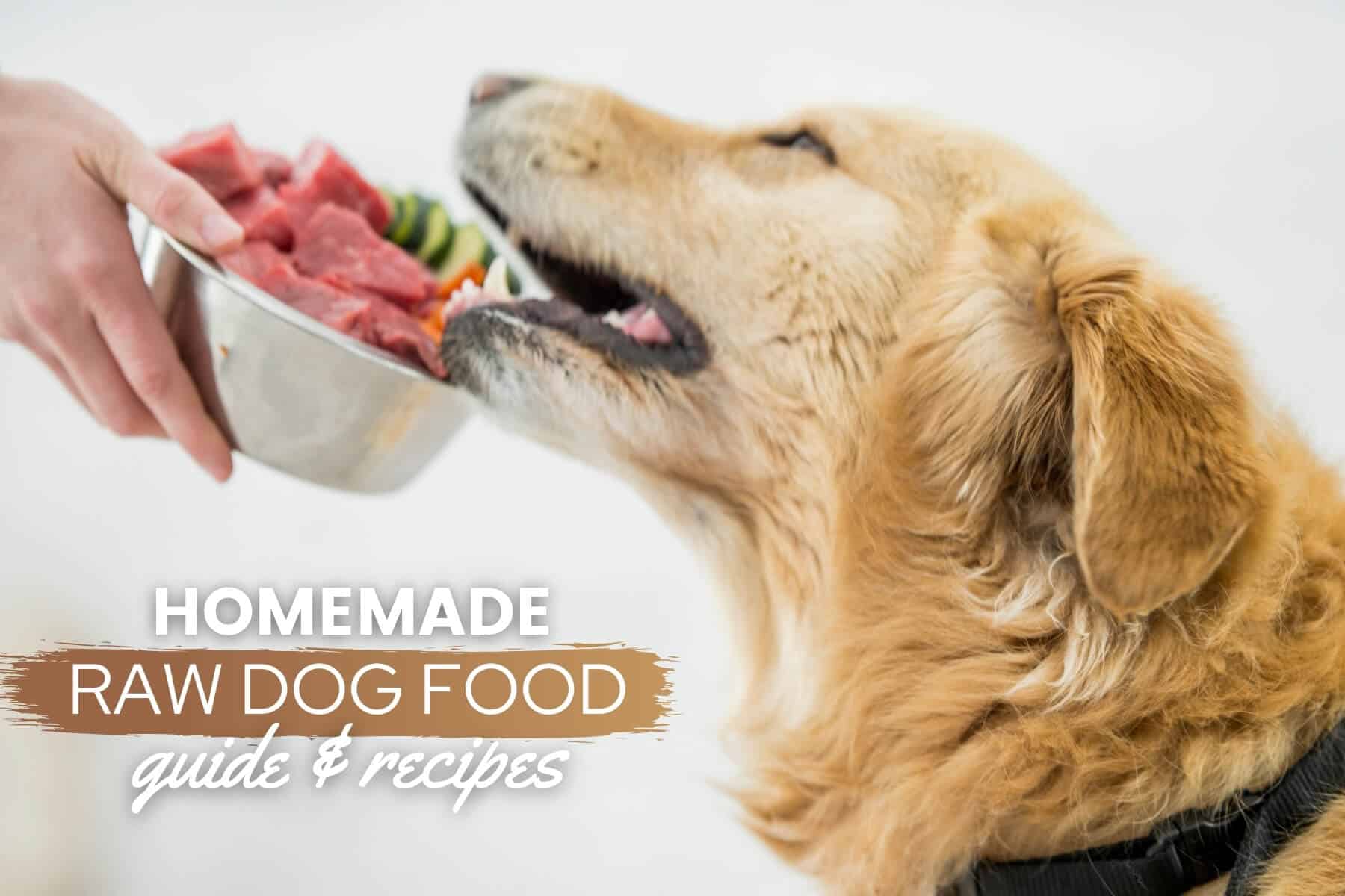 raw dog food patties recipe