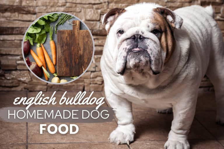 English Bulldog Homemade Dog Food Guide: Recipes & Nutrition Advice