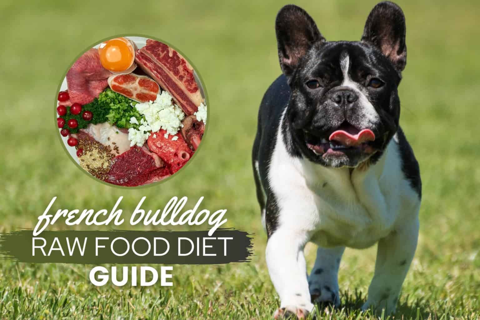 French Bulldog Raw Food Diet Guide Recipes, Benefits