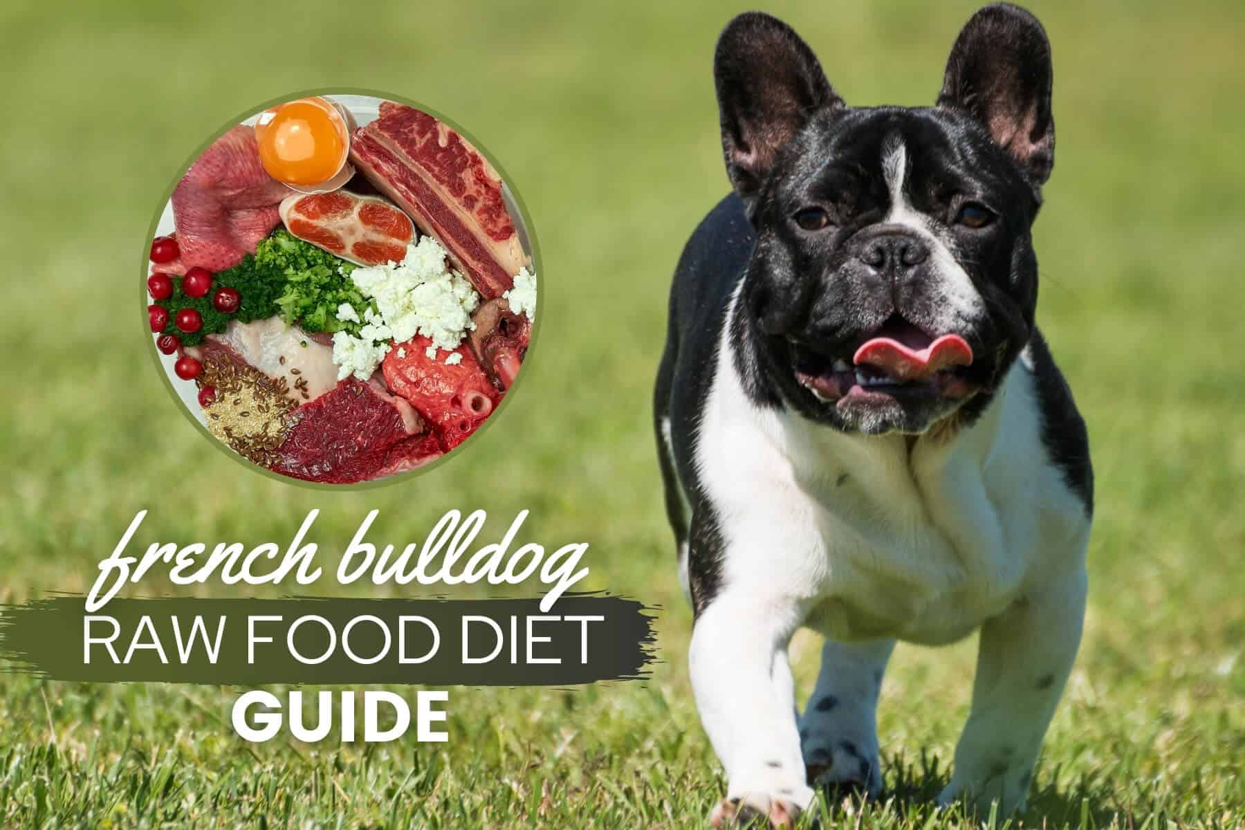 French Bulldog Raw Diet Recipe - Find Vegetarian Recipes