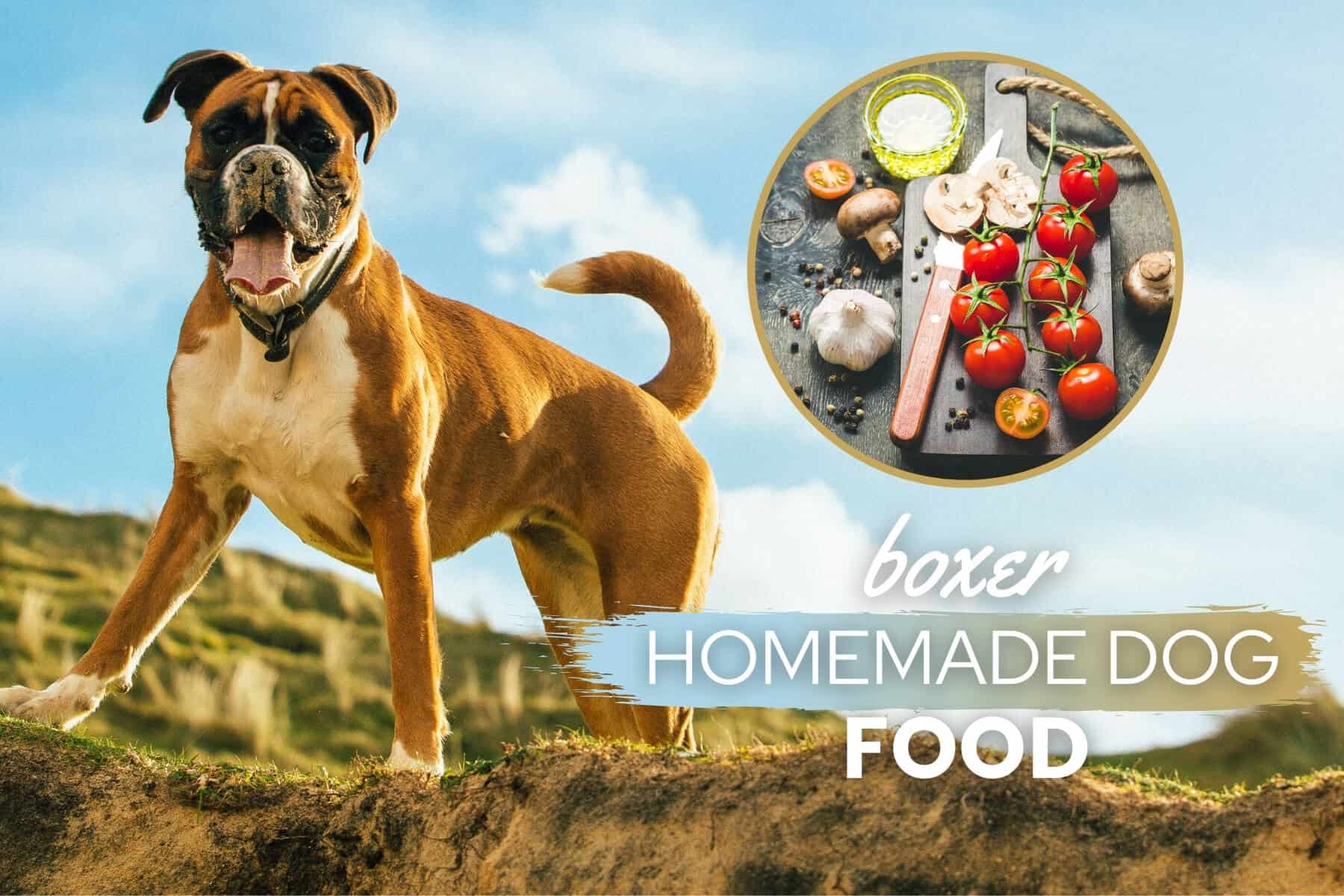 boxer dog homemade food