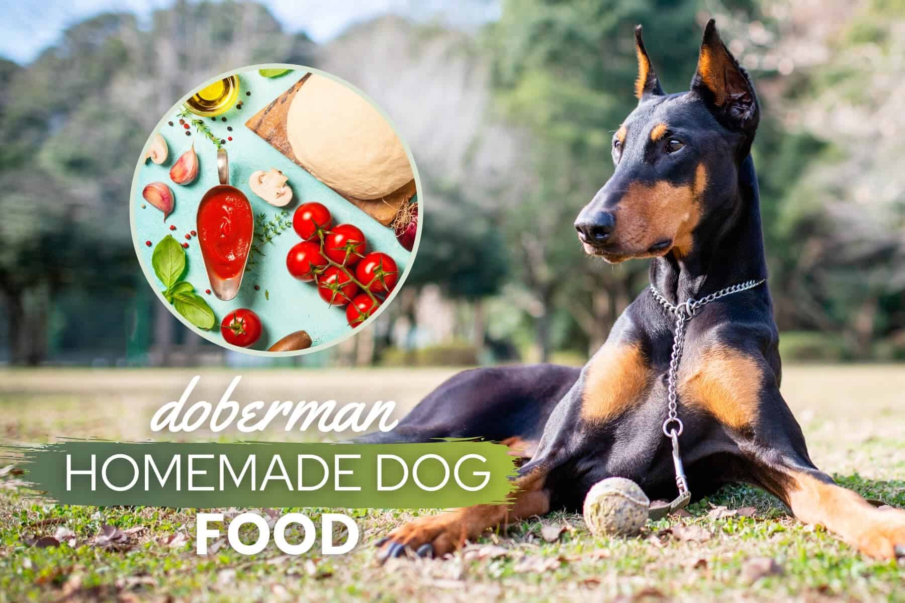 Doberman Pinscher Homemade Dog Food Guide: Recipes, Nutrition & Tips -  Canine Bible