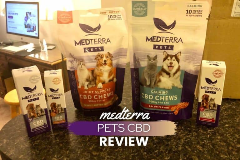 Medterra Pets Review: Our Dog Tried Their CBD Oil Tincture & Treats (Results & Experience)