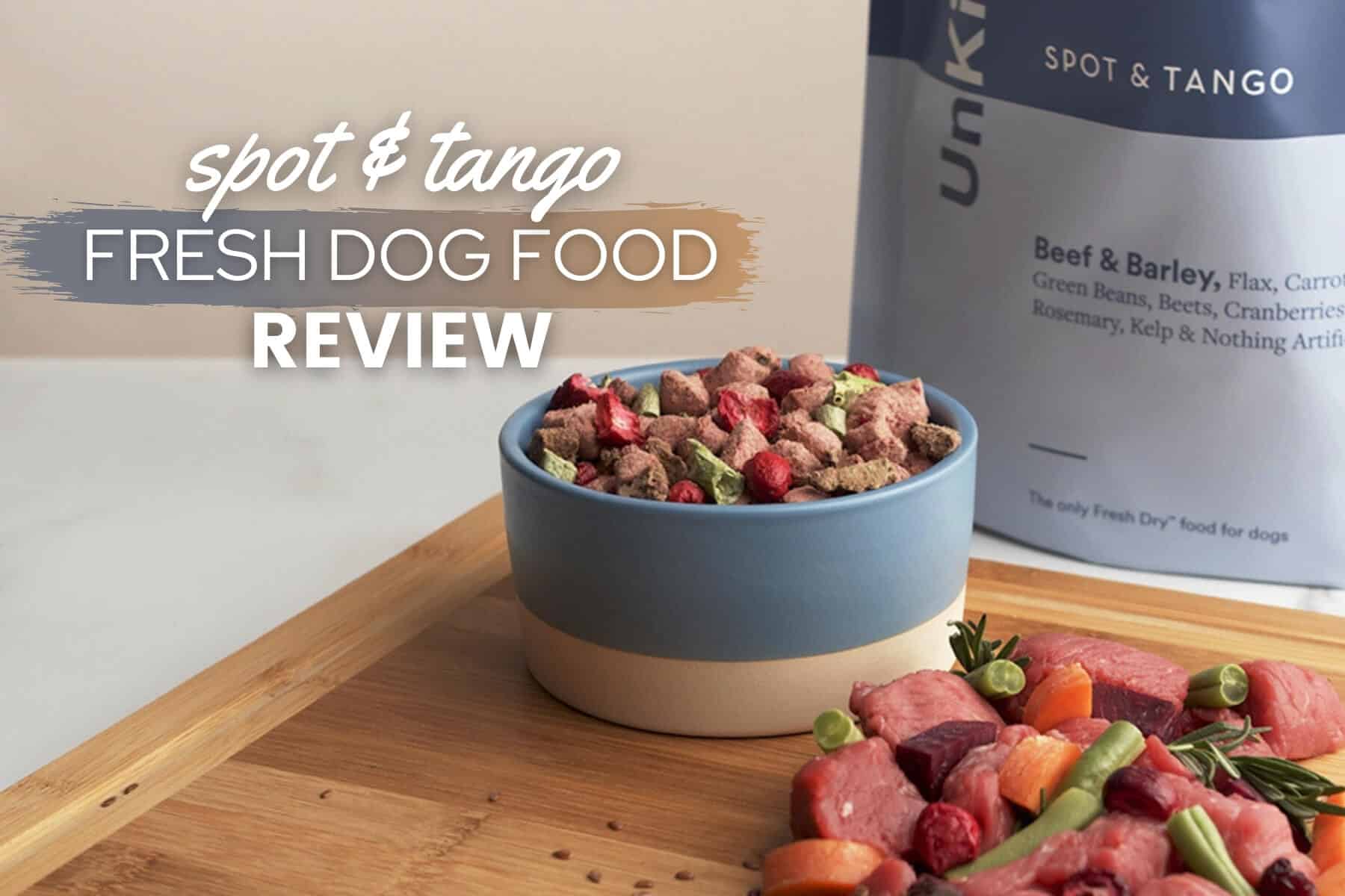 spot and tango review