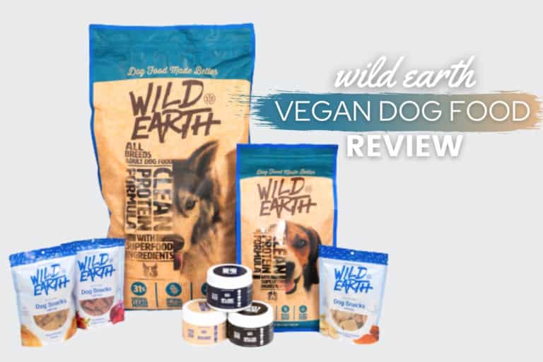 Wild Earth Dog Food Reviews 2022: Recall, Pros, Cons, Safe? (Experience)