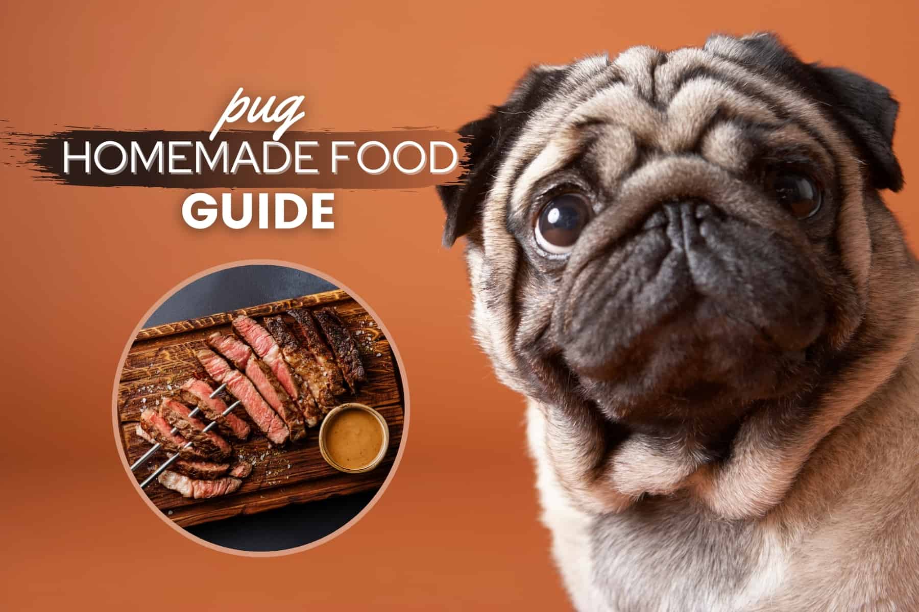 Pug Homemade Dog Food Guide: Best Recipes & Nutrition Advice - Canine Bible