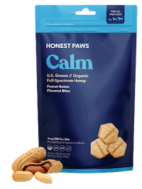 Honest Paws CBD Oil & Treats Review: Did Our Dog See Any Results ...