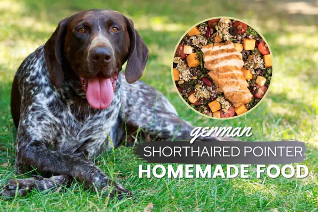 Kidney Health Dog Food For German Shorthaired Pointers preview