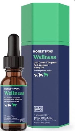 Honest Paws CBD Oil & Treats Review: Did Our Dog See Any Results ...