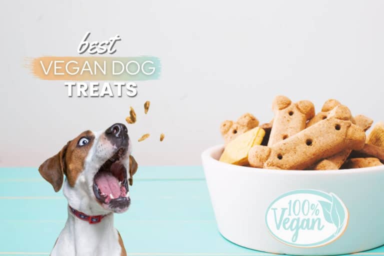 Best Vegan Dog Treats: Plant-Based Snacks, Benefits & Recipes [+Vegetarian Options]