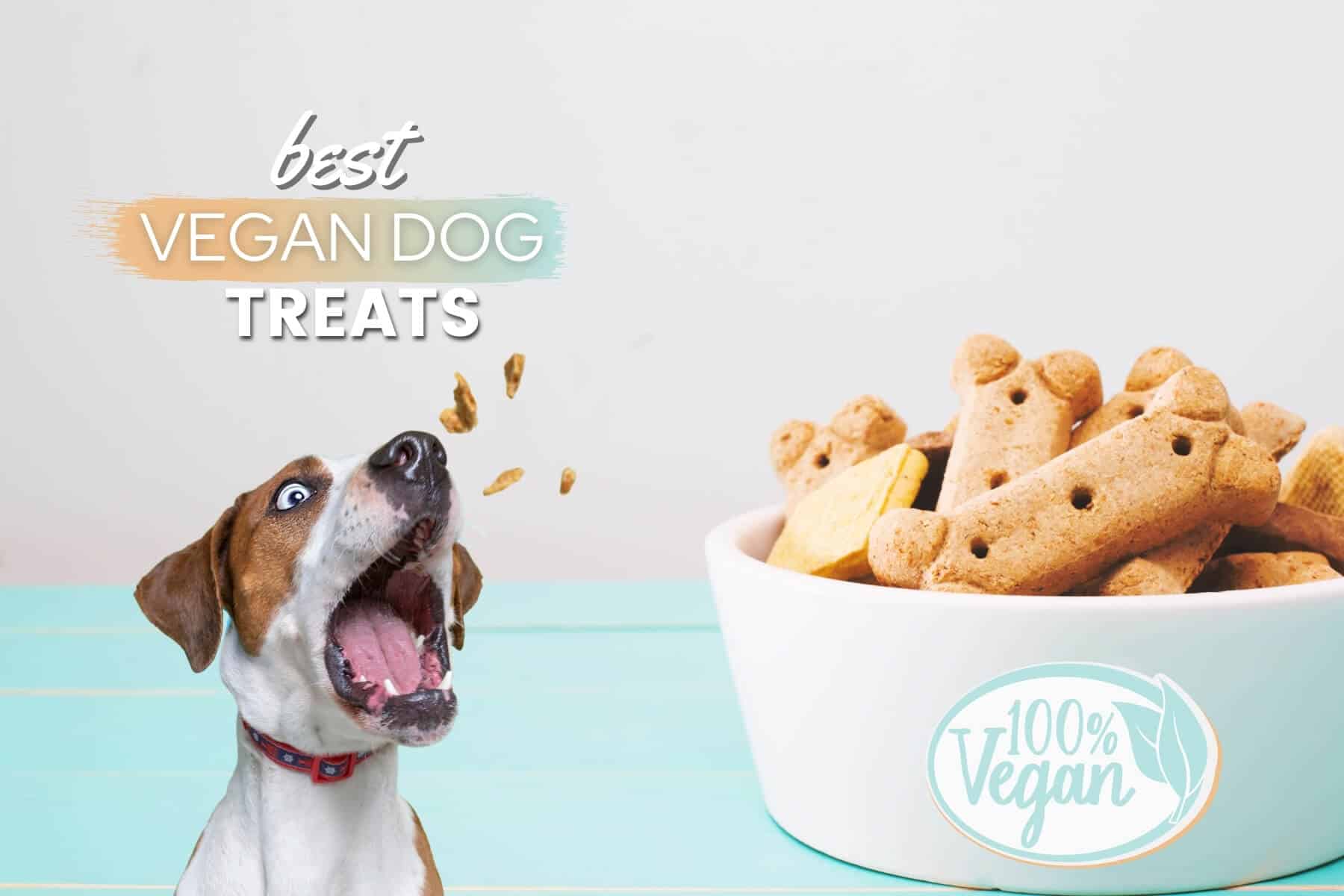 best vegan dog treats