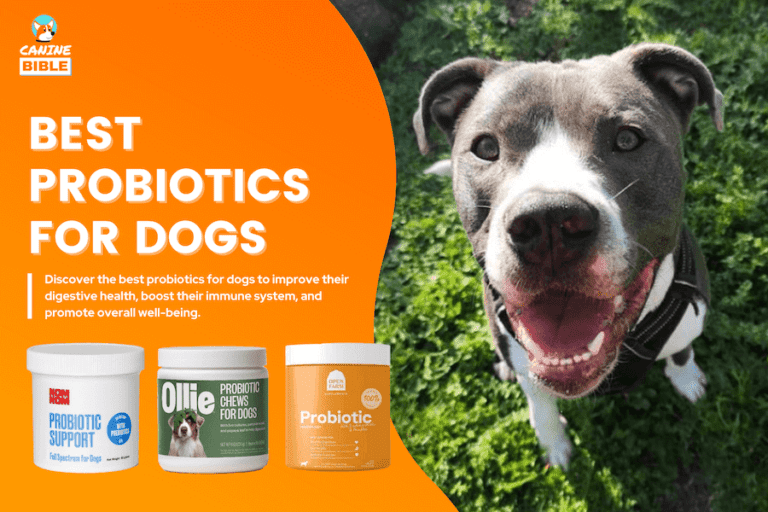 15 Best Probiotics For Dogs 2024: Chews, Powder, Liquid & More [Reviews & Picks]