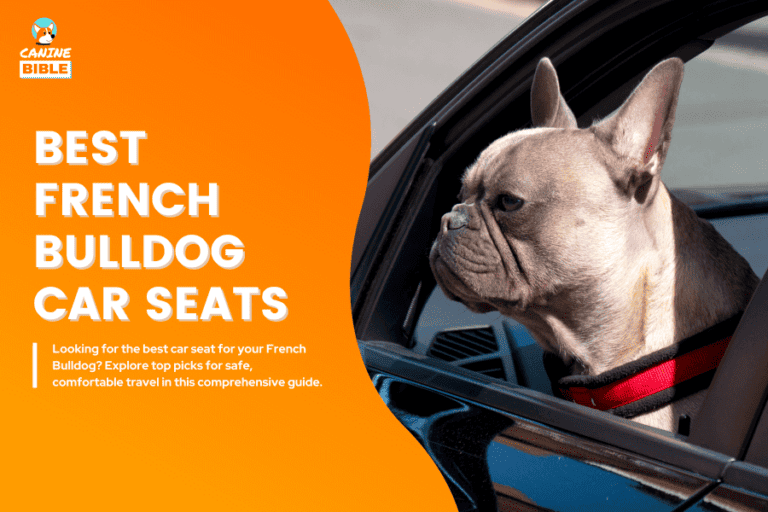 Best Car Seats For French Bulldogs — Top Picks & Reviews