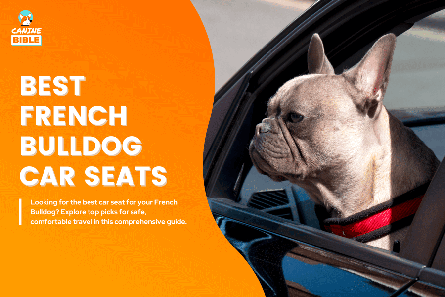 best car seats for french bulldogs