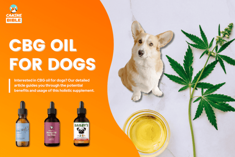 CBG Oil For Dogs: What Is It, Dosage, Benefits, Best Brands [CBD vs CBG]