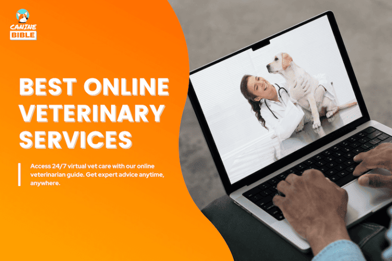 10 Best Online Veterinarians: Top Virtual Vets For Every Need [Reviews]