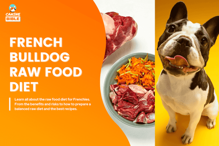 French Bulldog Raw Food Diet Guide: Best Recipes & Plan (Adult & Puppy)