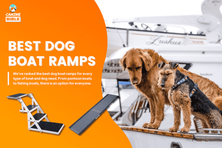 11 Best Dog Boat Ramps 2023: Pontoons, Ladders, Docks & More (Reviews)