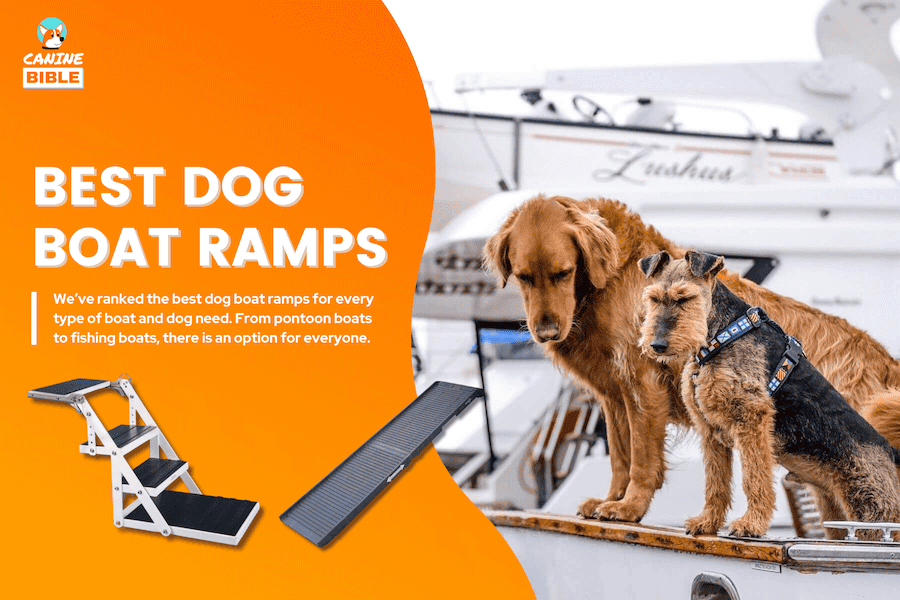 best dog boat ramps