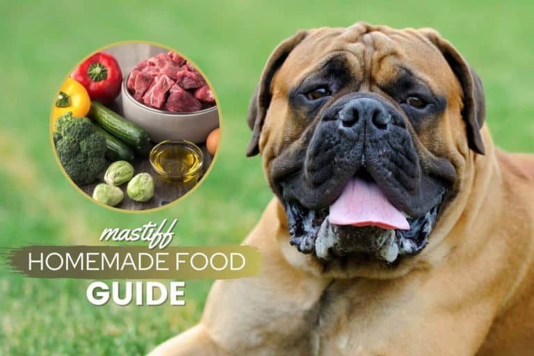 How To Cook Mastiff Homemade Food Guide: Recipes & Nutritional Advice