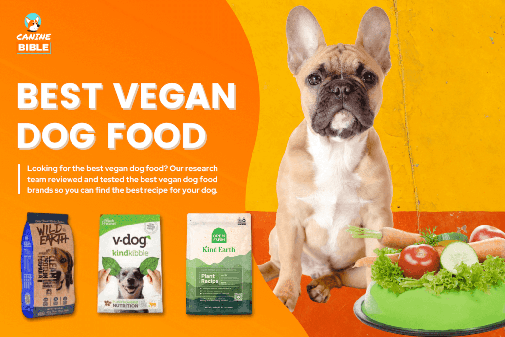 best vegan dog food reviews